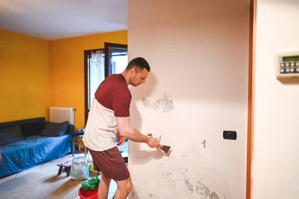 Best Basement Mold Remediation in Quincy, CA